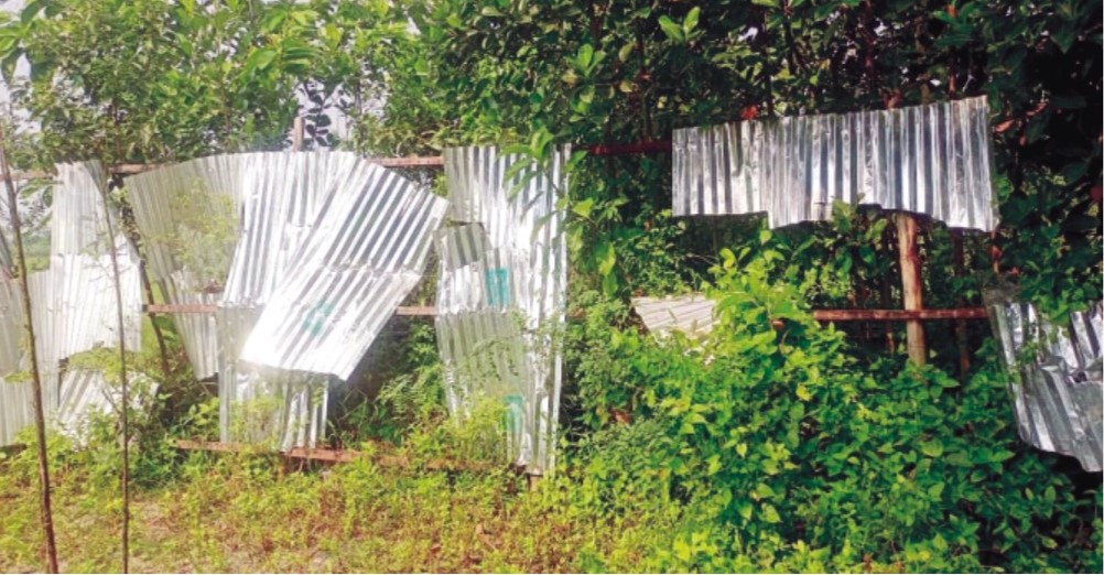  চান্দিনায় হতদরিদ্র দৃষ্টি  প্রতিবন্ধীকে মারধর আদালতে মামলা