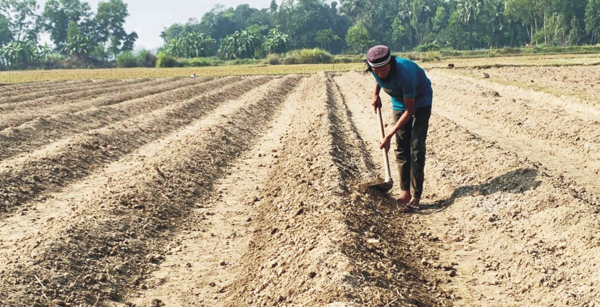 কৃষকের শ্রমের মূল্য দিন, চাঙ্গা হবে অর্থনীতি