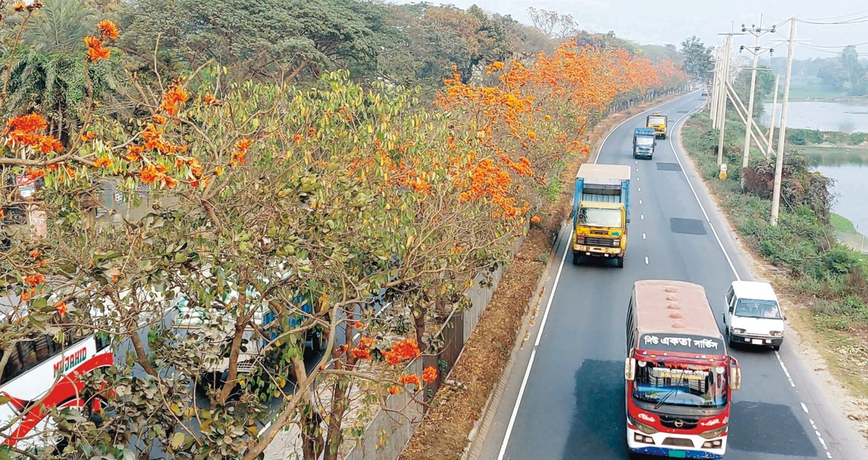 পলাশে সেজেছে মহাসড়ক