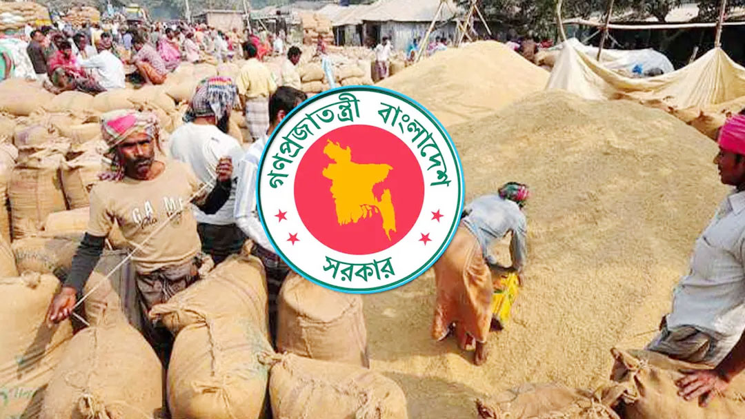 ৩ মে থেকে হাওর অঞ্চলের ধান-চাল সংগ্রহ শুরু করবে সরকার