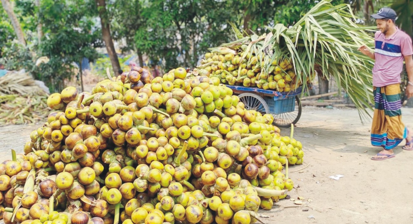 মৌসুমি বাণিজ্যে প্রাণ ফিরেছে কৃষক-ব্যবসায়ীদের